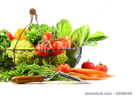 Summer vegetables with garden shovel Summer vegetables with garden shovel 8098040