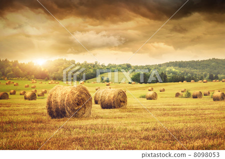 Field of freshly bales of hay with beautiful sunset Field of freshly bales of hay with beautiful sunset 8098053