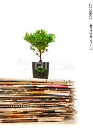 Plant on top of pile of newspapers Plant on top of pile of newspapers 8098087