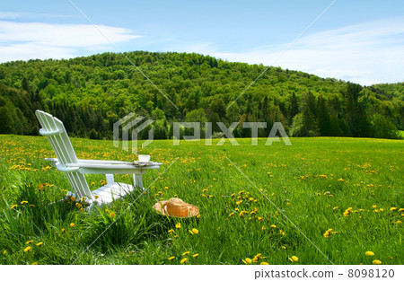 White adirondack chair in a field of tall grass 8098120