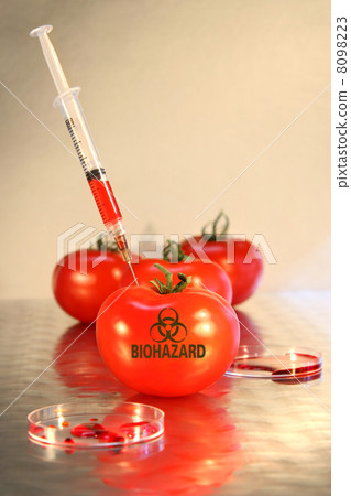 Close-up of syringe in tomato Close-up of syringe in tomato 8098223
