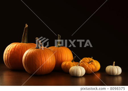 Different sized pumpkins and gourds on dark 8098375