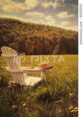 Adirondack chair in a field of tall grass 8098503