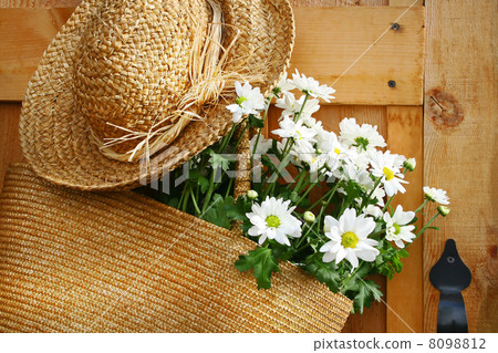 Daisies in summer purse Daisies in summer purse 8098812