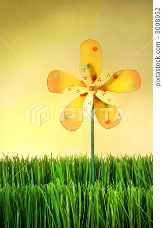 Summer fun in the grass Summer fun in the grass 8098952