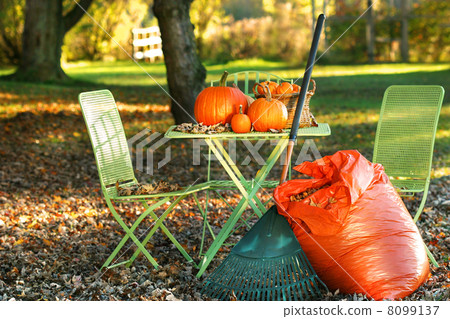 Raking autumn leaves 8099137