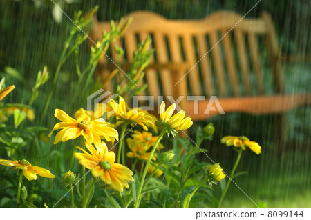 Summer showers 8099144