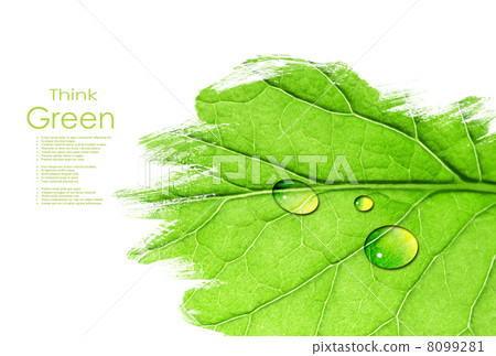 Leaf background with space for text 8099281