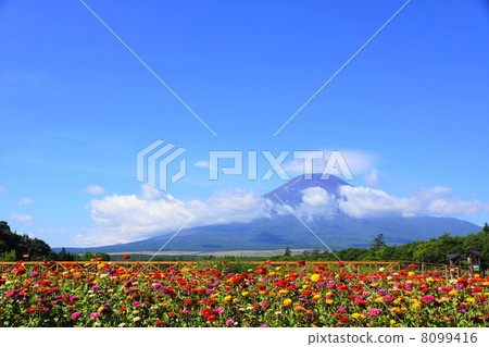 August scenery Mt. Fuji 02 Hinaki Nishi 20 Jinia 8099416