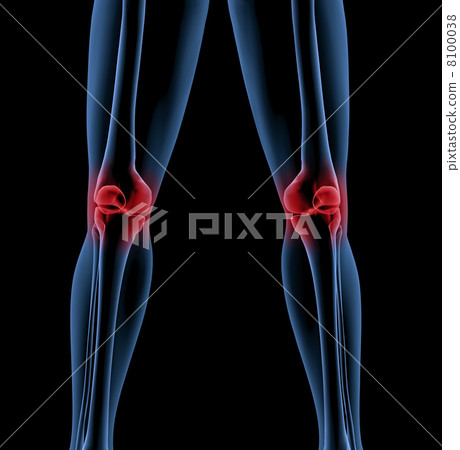 Legs of a medical skeleton Legs of a medical skeleton 8100038