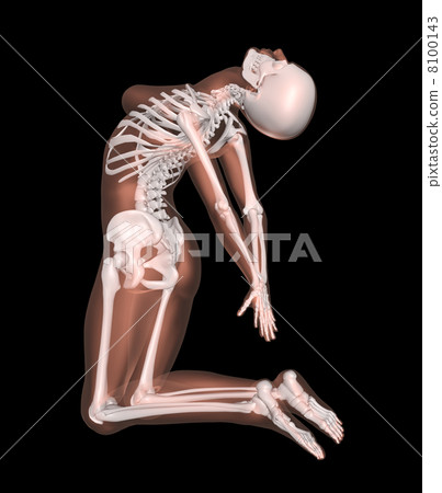 Female Skeleton in Yoga Position 8100143