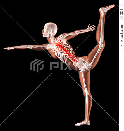 Female skeleton in yoga position 8100163