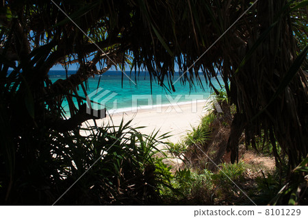 Sea and Heart 8101229