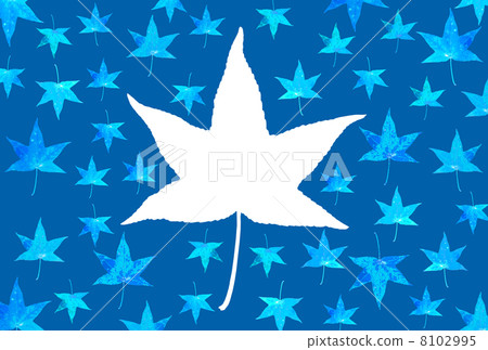 Platanus leaves 8102995