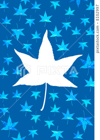 Platanus leaves 8102997