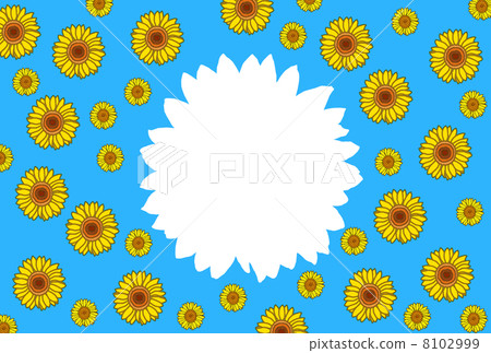 sunflower	 8102999