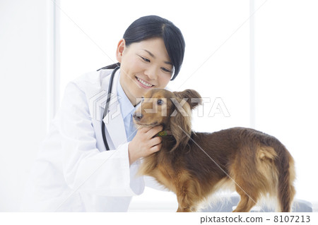 A veterinarian 8107213