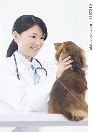 A veterinarian A veterinarian 8107219