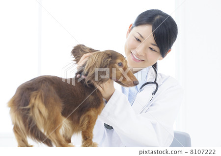 獸醫 獸醫 8107222