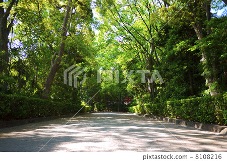 Ikusa八幡宮 8108216