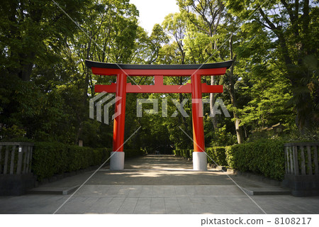 Ikusa八幡宮 8108217