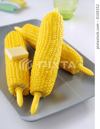 Steamed corn cobs 8108352