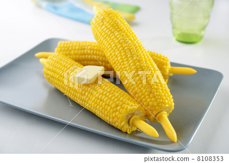 Steamed corn cobs 8108353