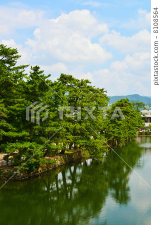 Hikone Castle Iroha Matsu Hikone Castle Iroha Matsu 8108564