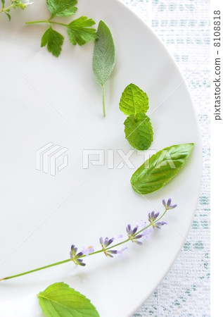 Herb Plate Herb Plate 8108818