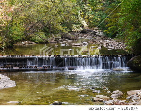 Akazawa自然休閒森林 Akazawa自然休閒森林 8108874