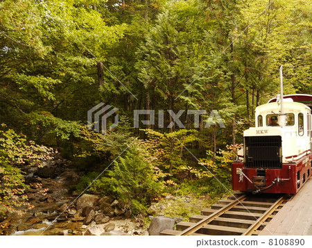 Akazawa自然休閒森林 Akazawa自然休閒森林 8108890