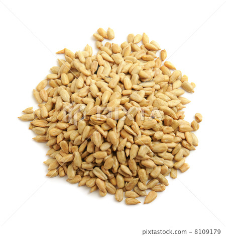 Sunflower seeds 8109179