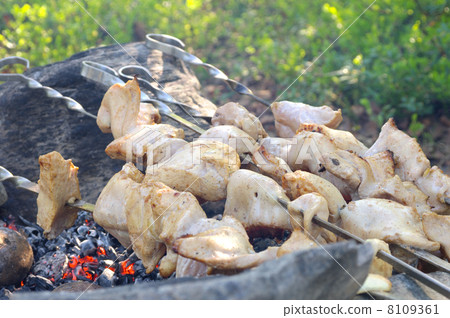 Grilled White Meat preparing shish kebab Barbecue fresh Food Picnic Outdoor Grilled White Meat preparing shish kebab Barbecue fresh Food Picnic Outdoor 8109361
