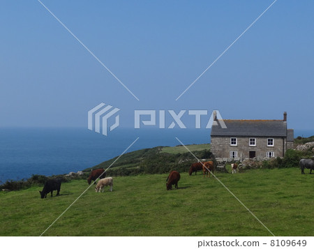 康沃爾牧場 8109649