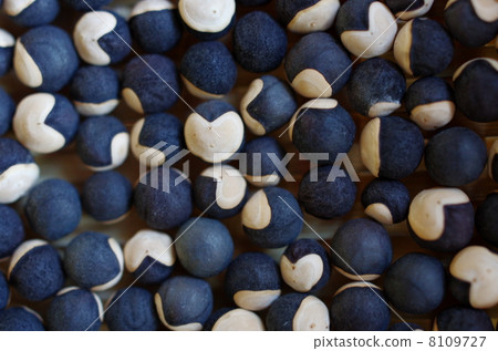 雲杉飛 雲杉飛 8109727