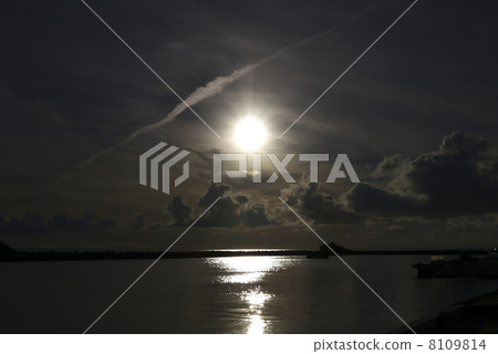 清晨的陽光 8109814