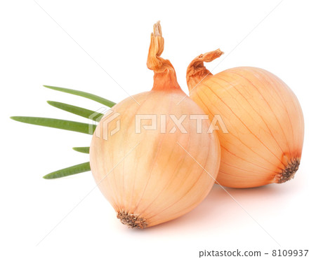Onion vegetable Onion vegetable 8109937