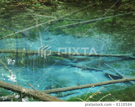 God's Pond God's Pond 8110584