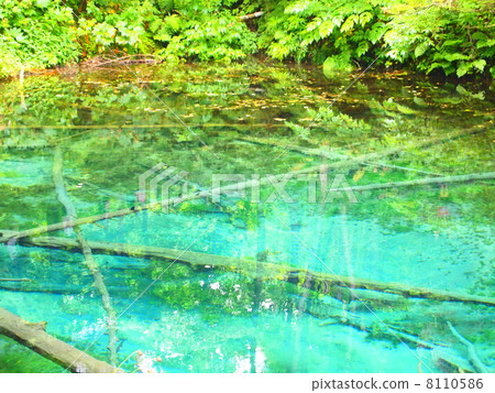 God's Pond 8110586