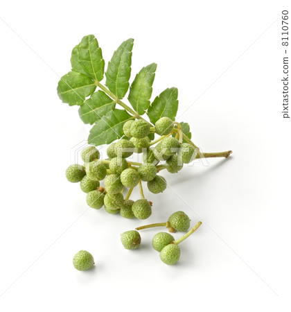 Sansho fruit 8110760