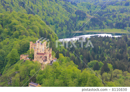 Germany Füssen Hohenschwangau Castle Germany Füssen Hohenschwangau Castle 8110830
