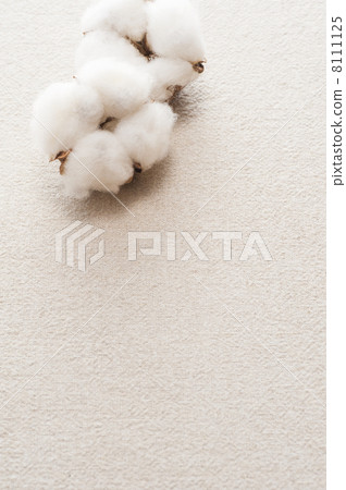 Cotton seed on the background of the cloth 8111125