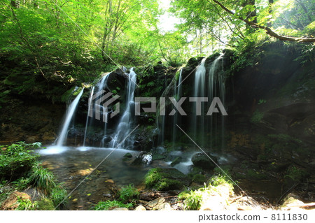 Monkey Bottle Falls Monkey Bottle Falls 8111830