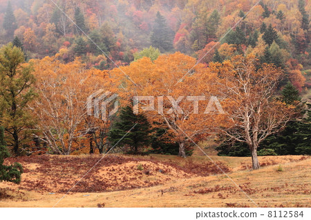 Yamada Ranch in autumn 8112584
