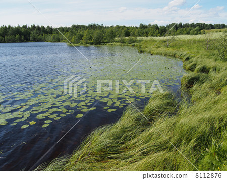 Lake in the summer Lake in the summer 8112876