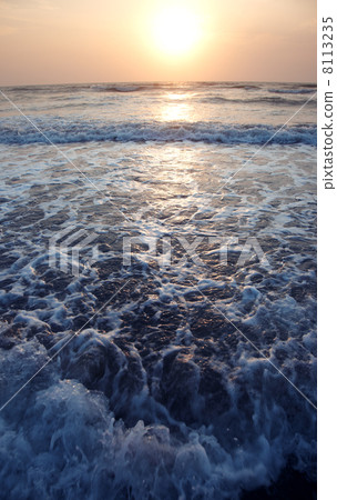 Seaside 8113235