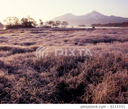 Frost morning 8113331