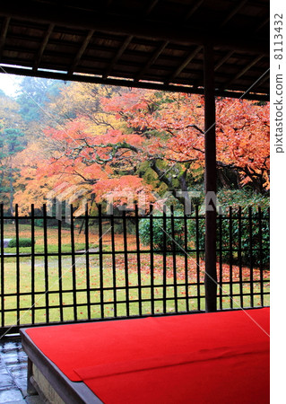 Autumn leaves and red hair 8113432