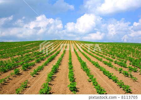 Ridge extending in the sky Ridge extending in the sky 8113705