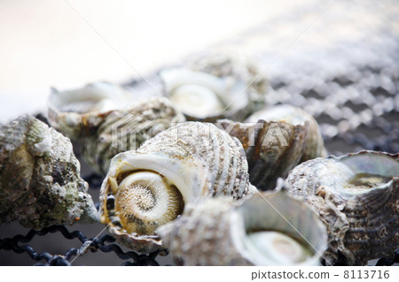 海鮮燒烤 海鮮燒烤 8113716